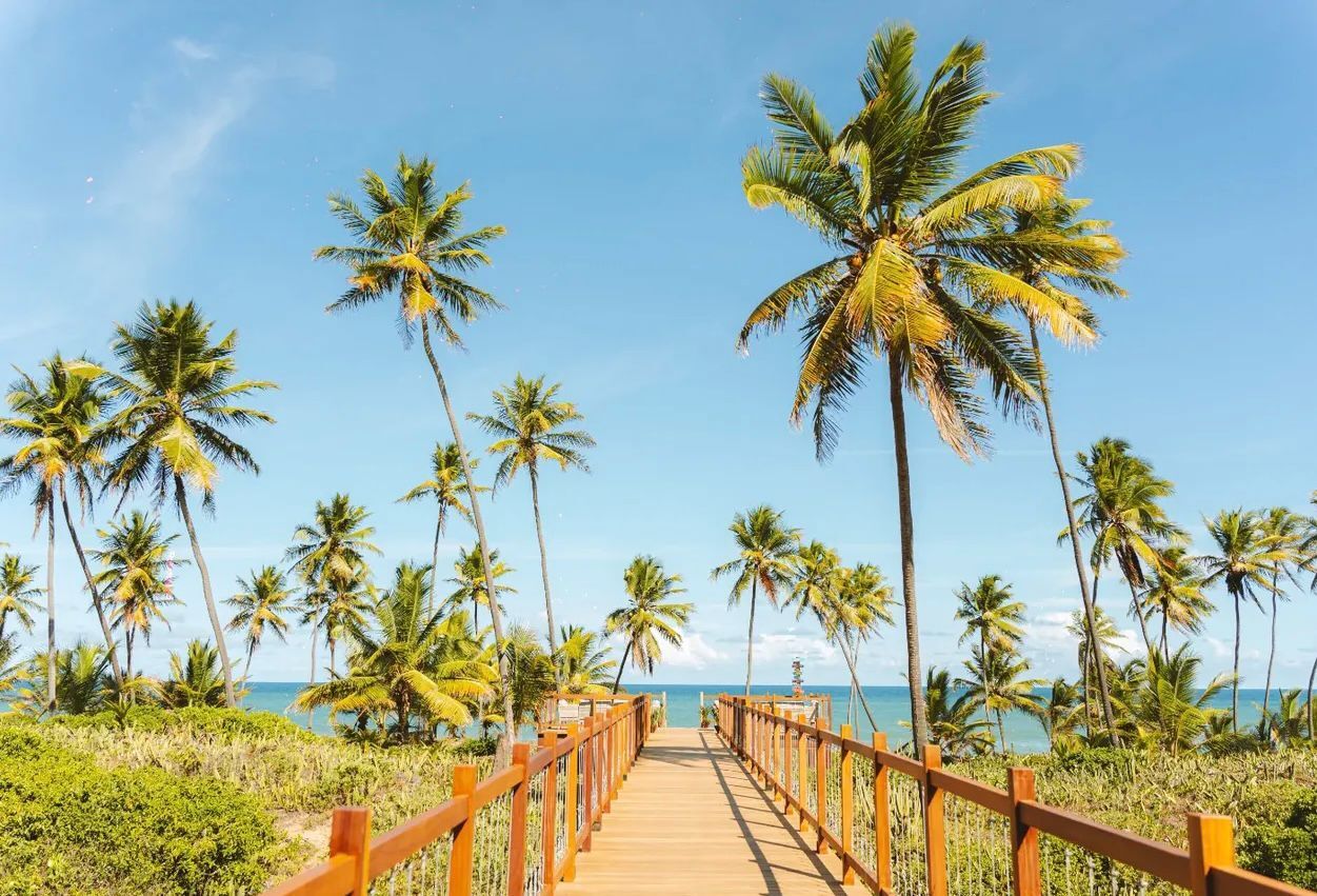 Terreno à venda, 845m² - Centro,Mata de São João