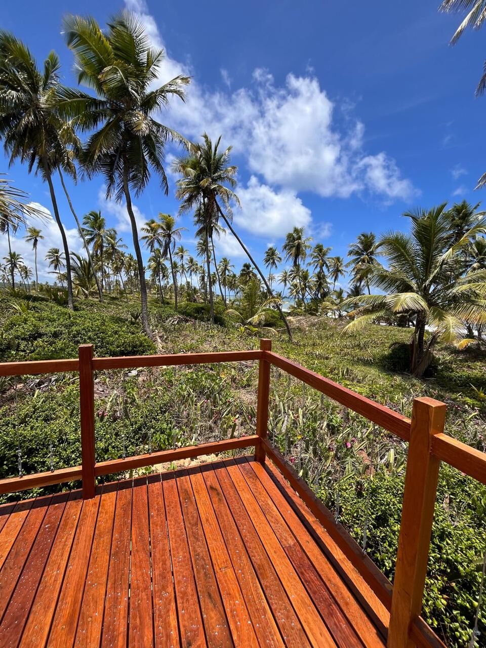 Terreno à venda, 845m² - Centro,Mata de São João
