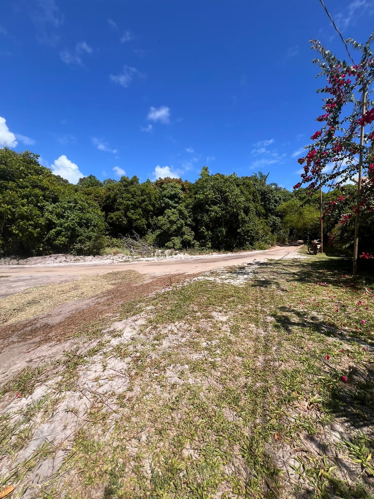 Venda terreno em Taipu de Fora - Barra Grande!! - Lopes Imoveis Bahia